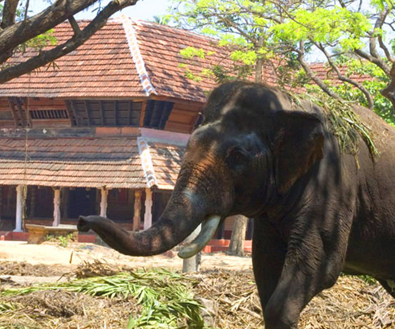 Punnathur Kotta - 4 km